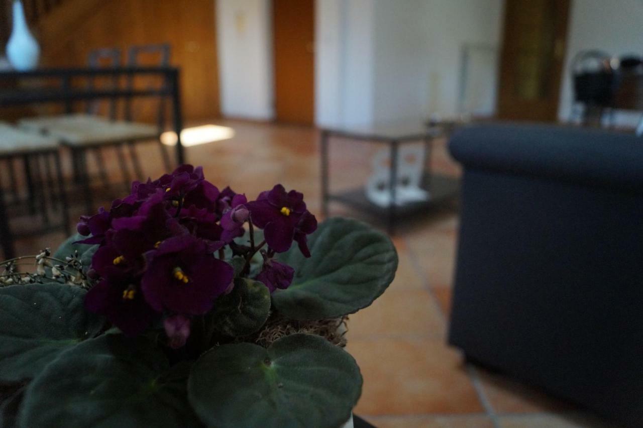 Bonjour Bonheur Bed & Breakfast Avellino Exterior photo